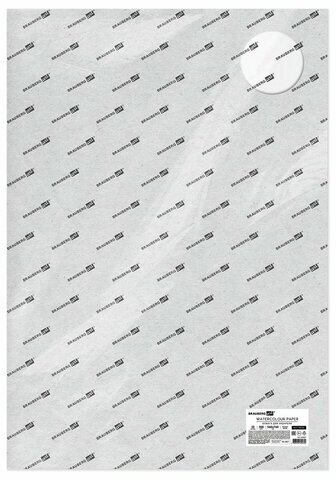 Бумага для акварели 300 г/м2 560x760 мм мелкое зерно, 10 листов, BRAUBERG ART PREMIERE, 113237