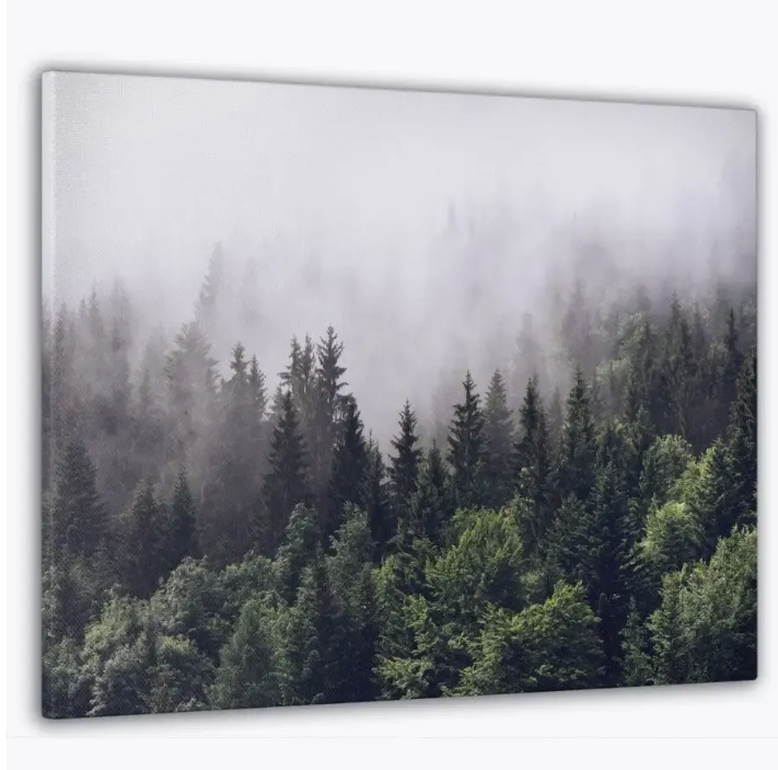 Картина на стену "Туманный лес"