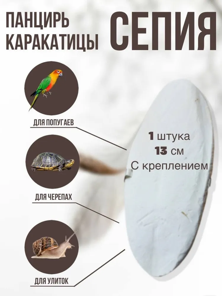 Сепия панцирь каракатицы для попугаев улиток черепах