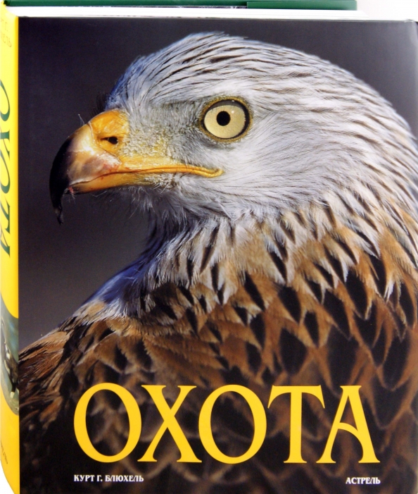Книга "Охота" Курт Блюхель