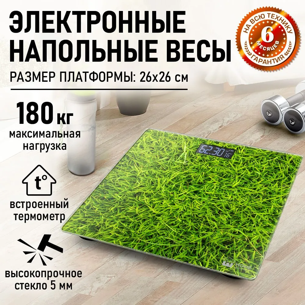 Весы напольные Home Element HE-SC906 Young grass